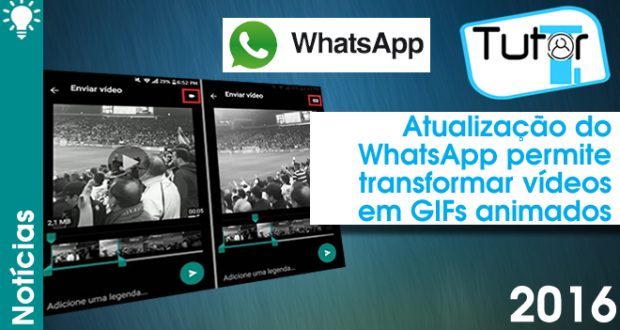 Atualização do WhatsApp permite transformar vídeo em GIF - Tutor TI